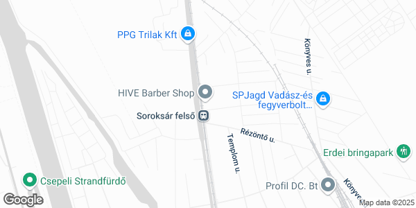 Rántott hús Mánia